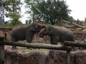 thats when i was at Busch Gardens on Christmas Break 2014.